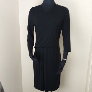 Ann Taylor Petite Black Drop Waist Pleated Dress 3/4 Sleeve 10P